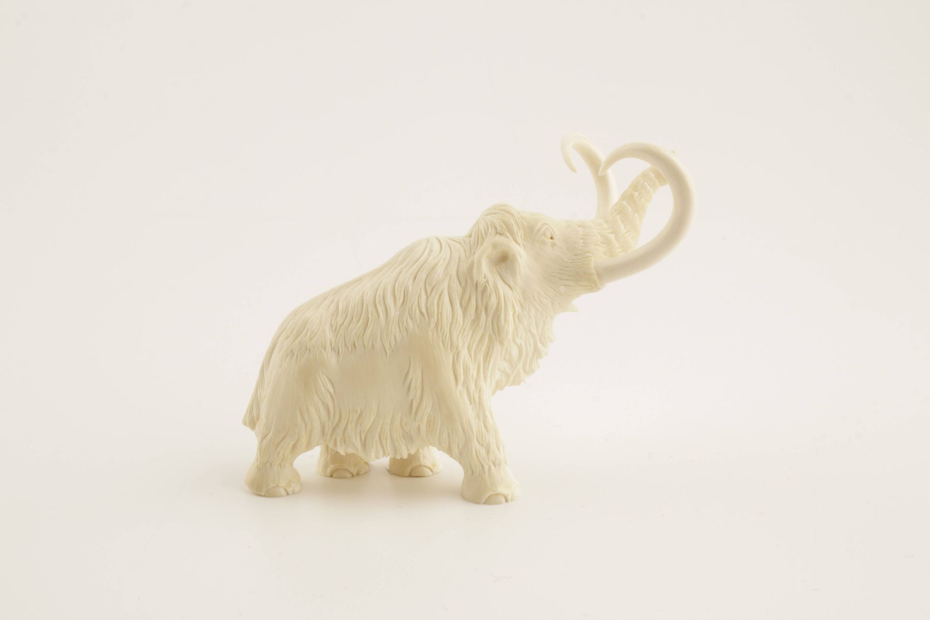 Mammoth Bone