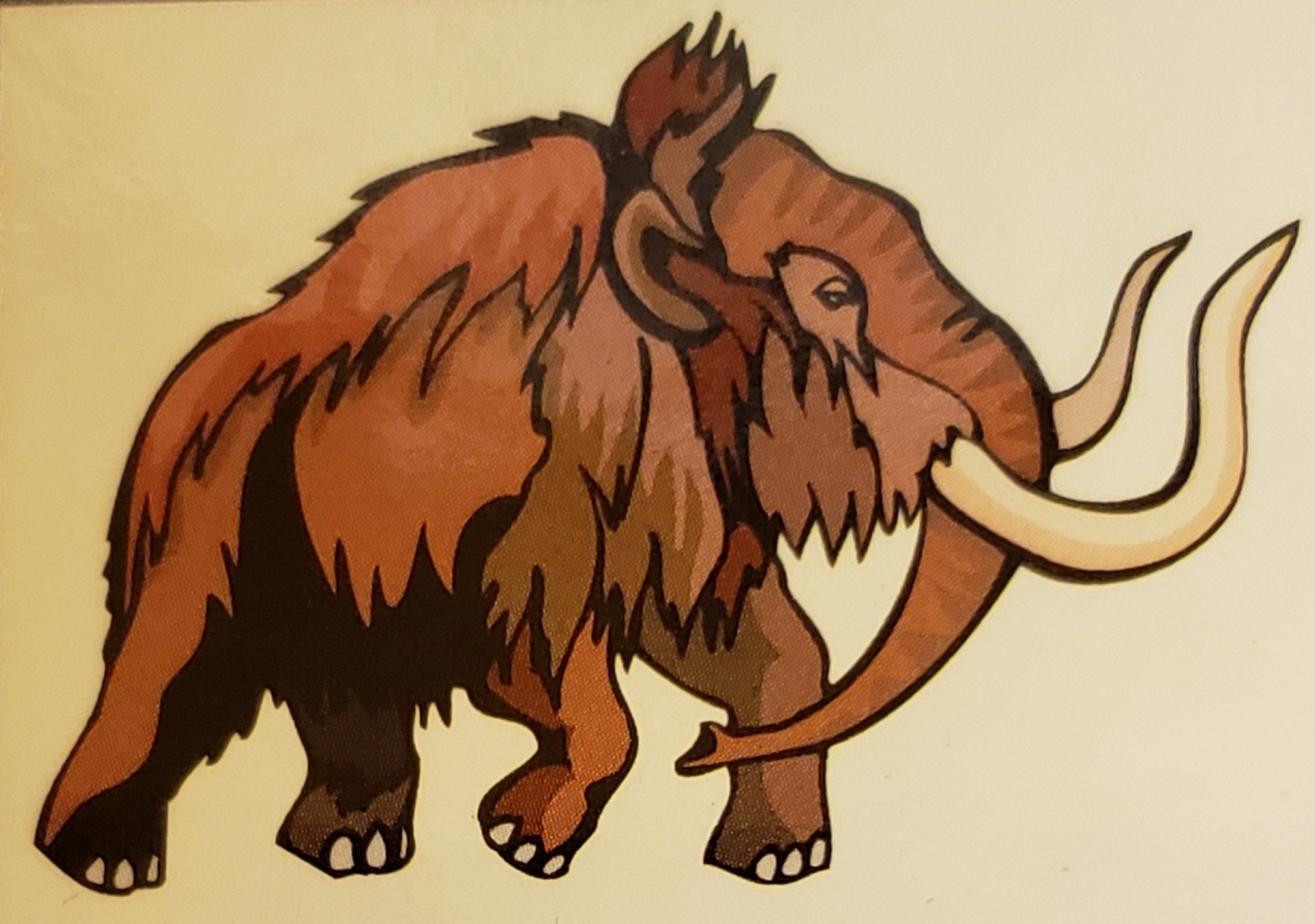Woolly Mammoth Fossils